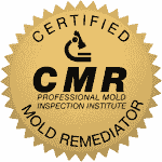 CMR Mold Training