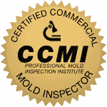 CCMI Mold Training